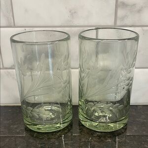 2 Magnolia Hand Blown Recycled Glass Etched Pepita Floral Tumbler Juice Glasses